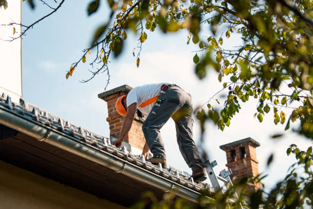 Best Sheet Metal Roofing  in Coopersville, MI