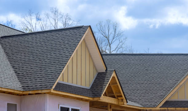 Best Roof Moss and Algae Removal  in Coopersville, MI